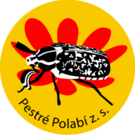 cropped-originalSmall-1-192x192