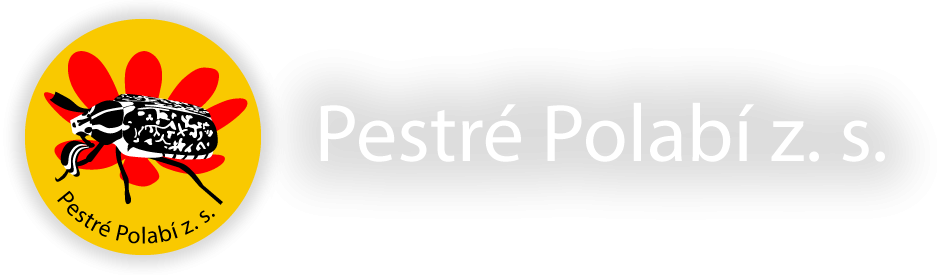 logoTextNejmensiShadow_2